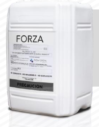 FORZA